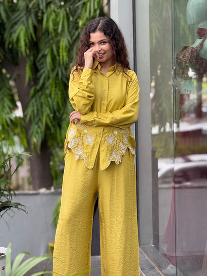 Embroidered shirt pant co-ord set