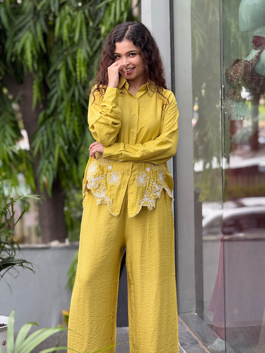 Embroidered shirt pant co-ord set