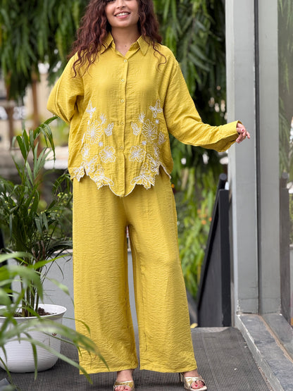 Embroidered shirt pant co-ord set